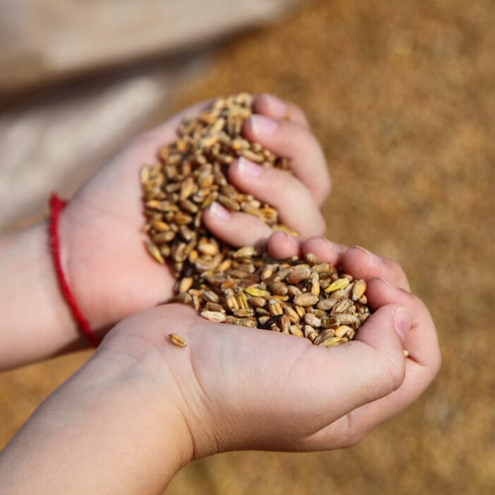 Love Beer - Grains in hands