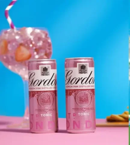 Gordons Pink Gin and Tonic Can